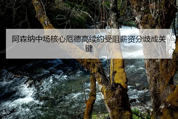 阿森纳中场核心厄德高续约受阻薪资分歧成关键