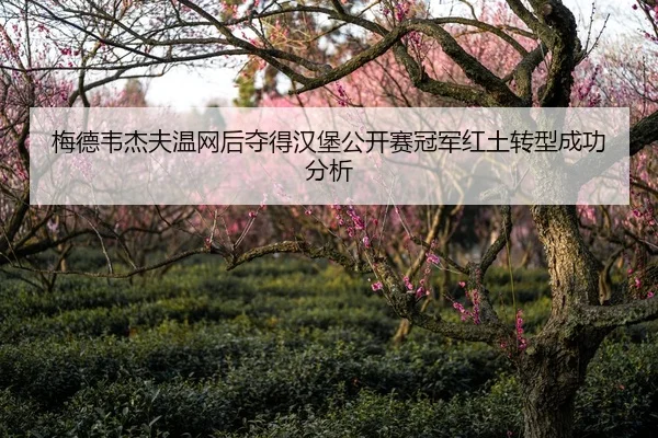 梅德韦杰夫温网后夺得汉堡公开赛冠军红土转型成功分析