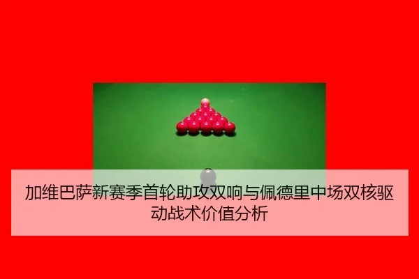 jia-wei-ba-sa-xin-sai-ji-shou-lun-zhu-gong-shuang-xiang-yu-pei-de-li-zhong-chang-shuang-he-qu-dong-zhan-shu-jia-zhi-fen-2-323.jpg